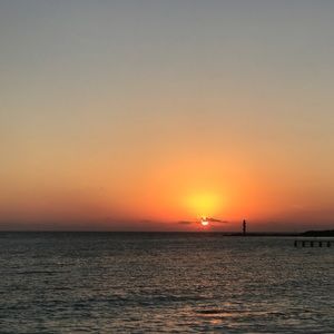 Meet your Posher, Strawberry